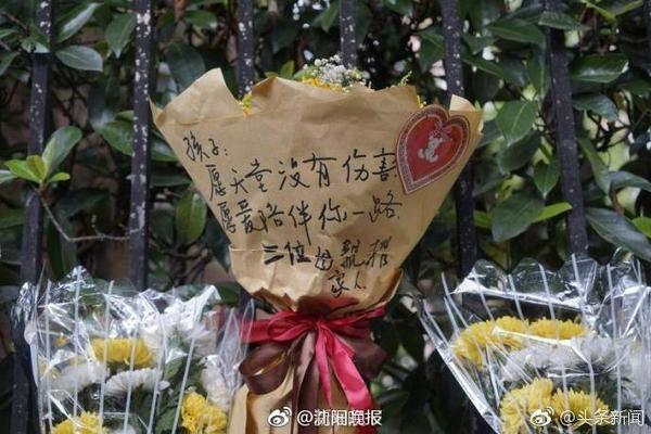 在线观看成人网站手机版